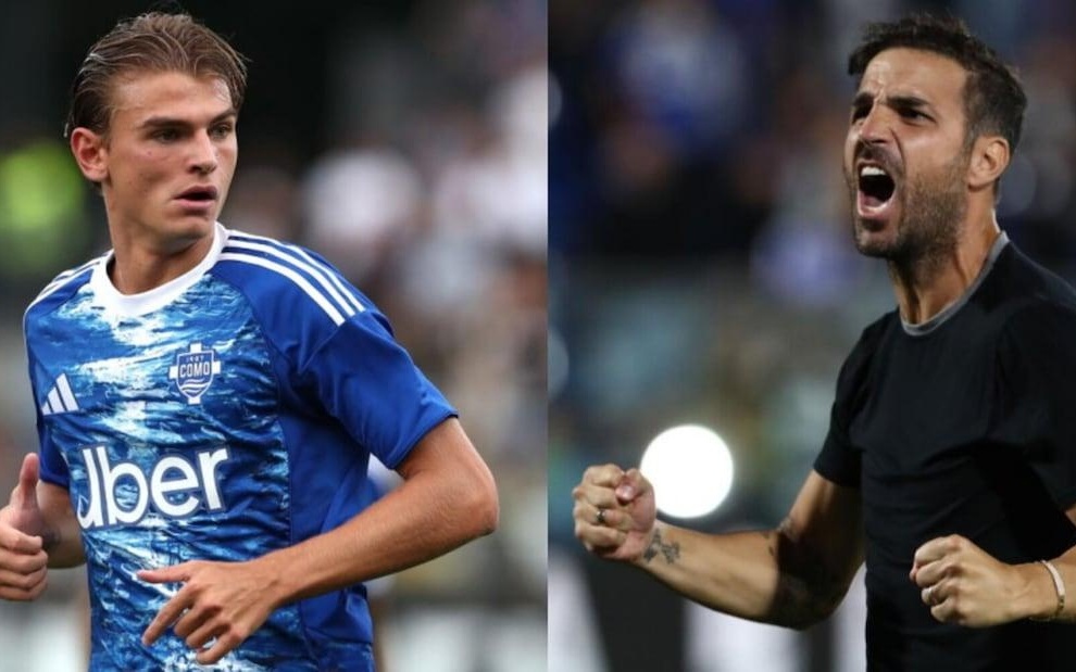 盟不仅能提 盟不仅能提