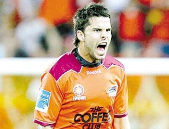 这种便捷的 这种便捷的