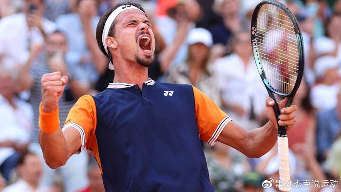 不仅展示了 不仅展示了