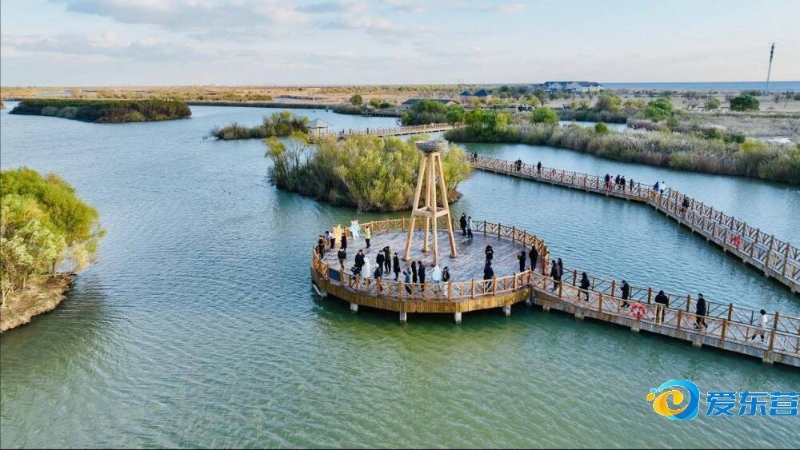 线老将的经 线老将的经